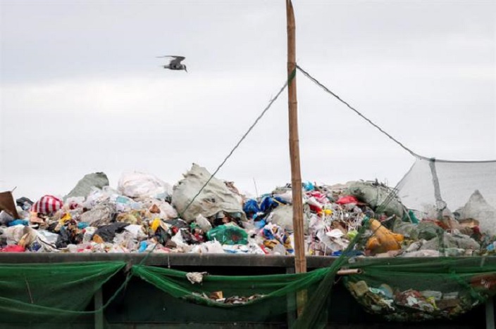 Ave sobrevuela contenedor de basura y plástico en la Bahía de Manila.