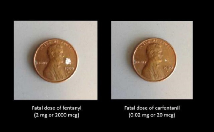 Monedas de un centavo de dólar, a la izquierda la cantidad de fentanilo que puede provocar una sobredosis mortal, a la derecha lo que se requiere del fármaco carfentanil para lograr ese efecto letal. (ABC News)