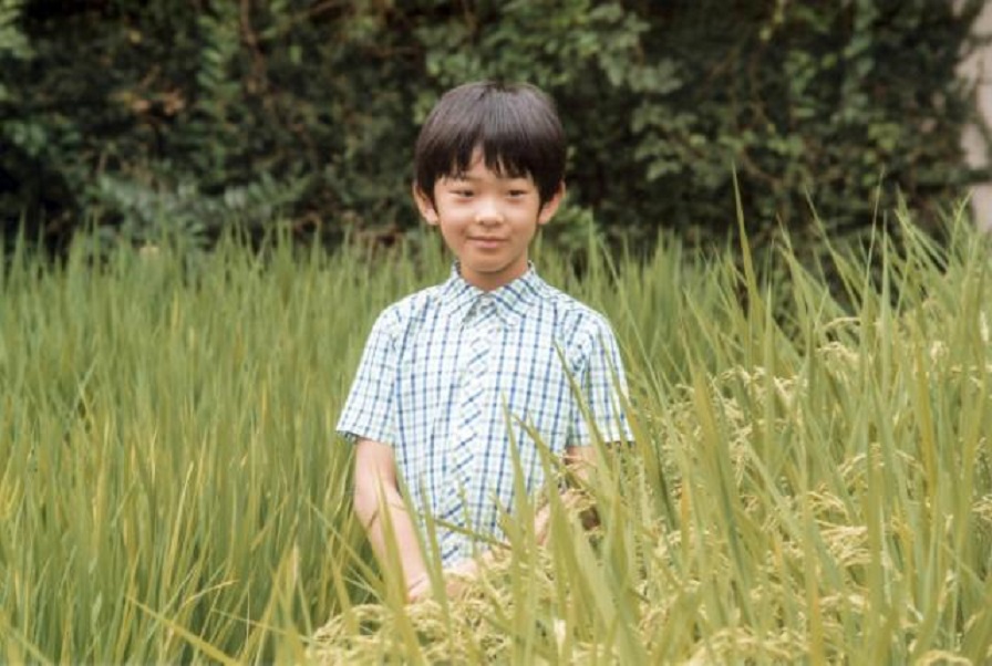 El príncipe Hisahito en un arrozal de Tokio.