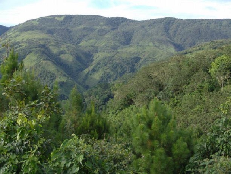 Zona boscosa de la República Dominicana.