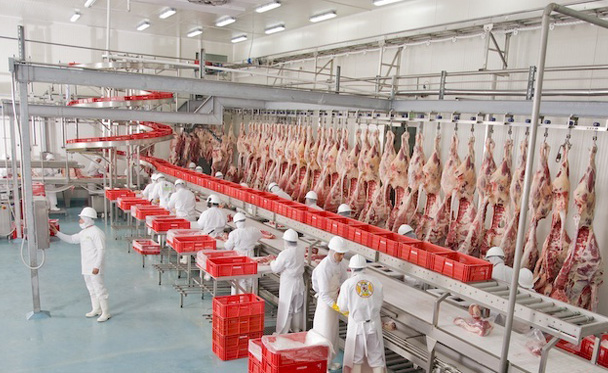 Empresa procesadora de carnes producción.