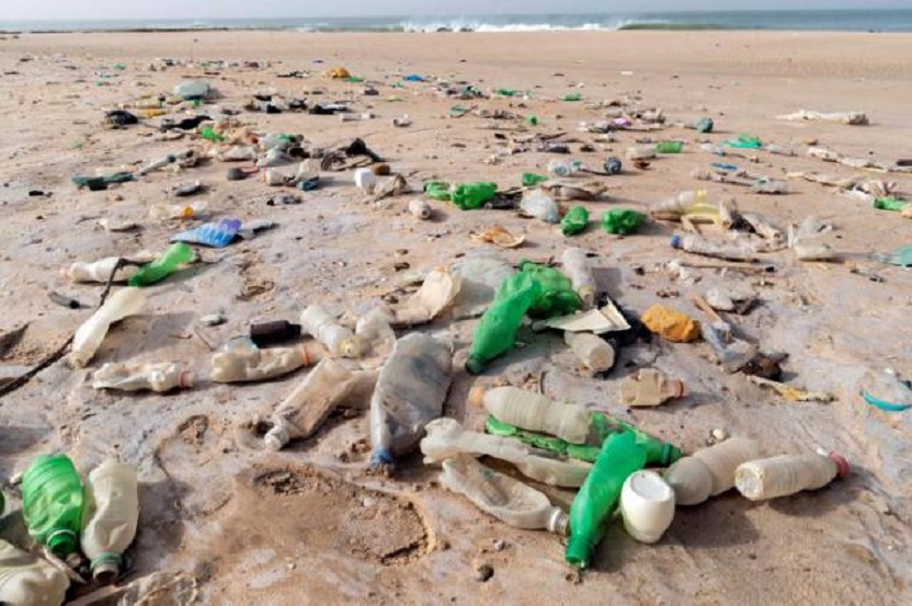 Restos de plástico en una playa (Fuente EFE).