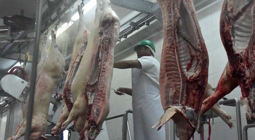 Carnicero prepara carne de cerdo para exportarla a China.