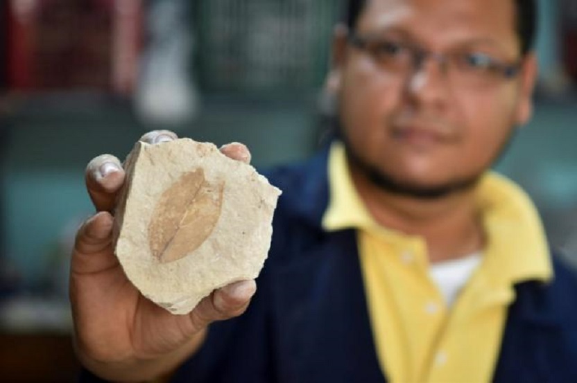 El paleontólogo salvadoreño Daniel Alvarenga muestra un fósil de millones de años de antigüedad.