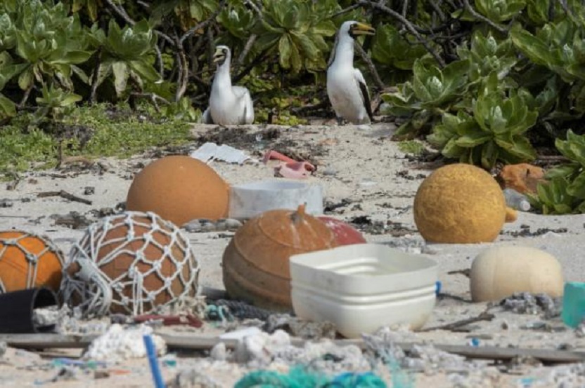 Residuos plásticos en una playa de la isla de Henderson, en el Pacífico.