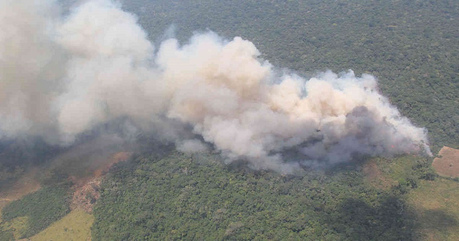 Brasil prohíbe quema de terrenos Amazonía.