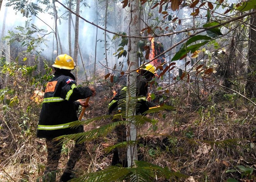 Fuego forestal en Loma de Caribe.
