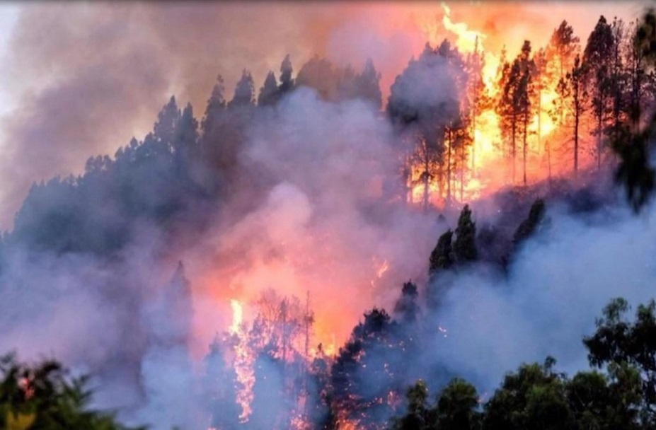 Incendios forestales en Amazona.