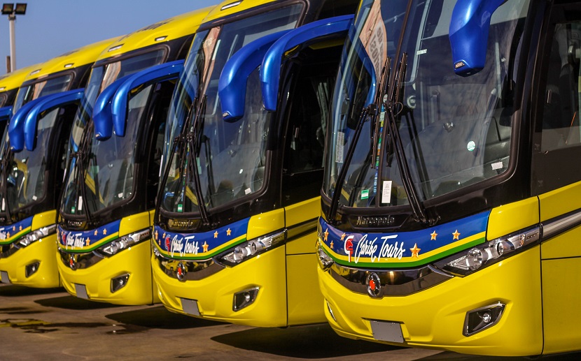 Imágenes de los autobuses de la empresa Caribe Tour. (Foto externa)