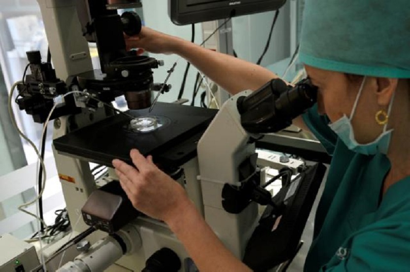 Una empleada de una clínica de reproducción asistida de Barcelona prepara una muestra de esperma y un ovocito. (Foto AFP)
