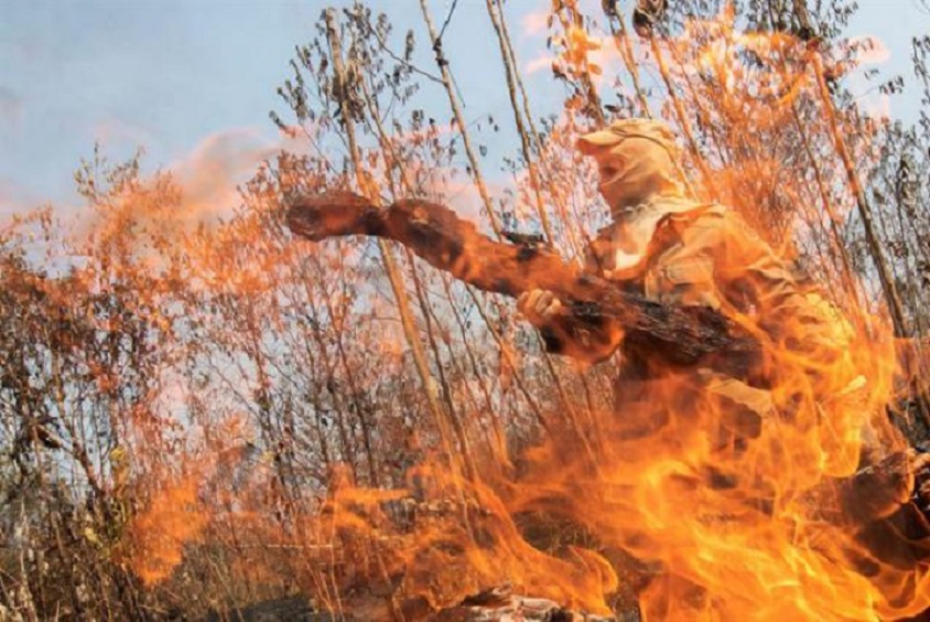 Un bombero se ve tras las llamas durante los combates de los incendios en la selva amazónica, cerca de Porto Velho (Brasil). (Foto EFE/Joédson Alves)