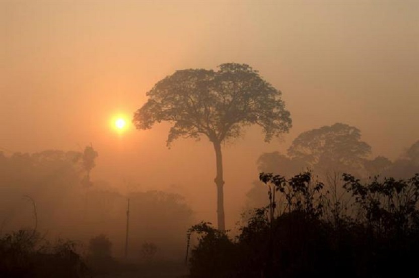 Humo de los incendios en la selva amazónica, cerca de Porto Velho (Brasil). (Foto EFE/Joédson Alves)