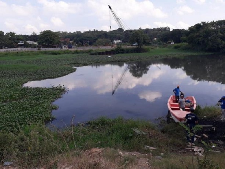Pescadores anuncian operativo para eliminar las lilas de ríos Ozama e Isabela. (Foto Karen Vásquez)