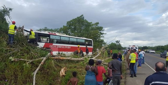 Autobús accidentado en matorrales.(Foto José Alberto Maldonado / Listín Diario)