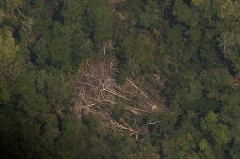 Vista aérea de áreas deforestadas de la selva amazónica, en Porto Velho, Rondonia, Brasil. (Foto: EFE/Joédson Alves)