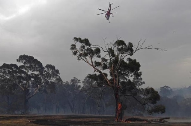 Temperaturas elevan los incendios forestales en Australia.( EFE/EPA/Julian Smith Australia and New Zealand Out)