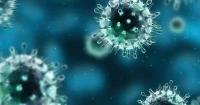 Imagen de un microscopio del coronavirus. (Foto: externa)