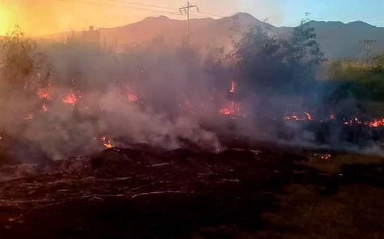 Foto informativa puesta a disposición por las Fuerzas de Seguridad de Aragua, muestra un incendio en una plantación de caña de azúcar en la ciudad de Cagua, Aragua, Venezuela, el 23 de enero de 2020. (Foto: EFE)