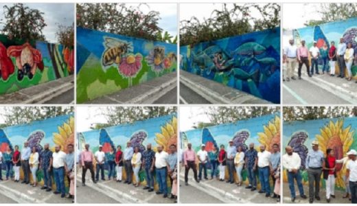  Consejos de Desarrollo de la provincia Sánchez Ramírez inaugura “Ruta de los Murales”. (Foto: Consejo de Desarrollo)