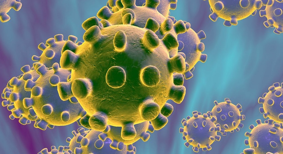 Imagen de un microscopio del coronavirus. (Foto: externa)