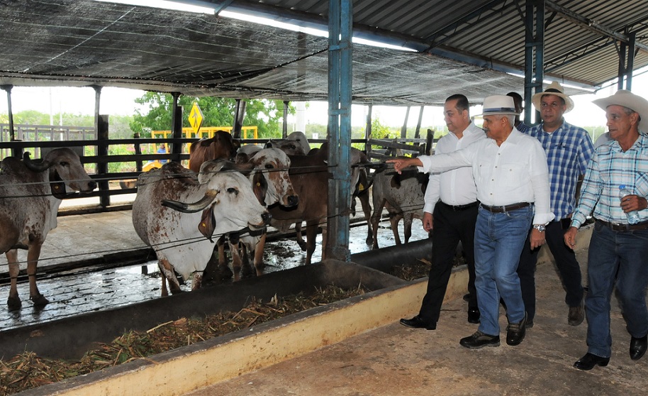 Agricultura y el CEA impulsan mejoría genética del ganado.