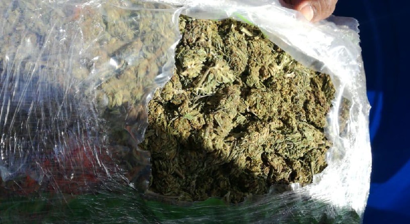 Paquetes de marihuana. (Foto: Aduanas)