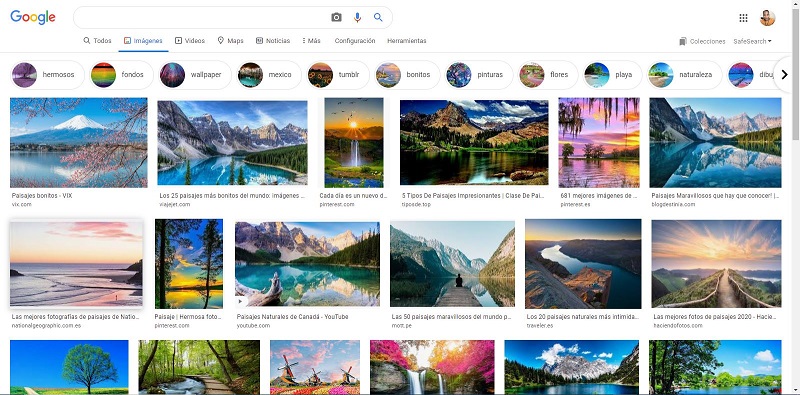 Google agrega función para ver información de imágenes.