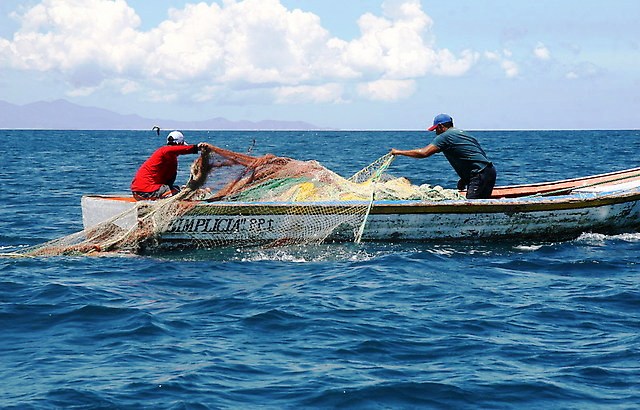 Proponen impulsar sector pesquero en la República Dominicana.