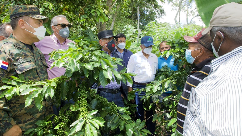 Presidente Danilo Medina supervisa trabajos agrícolas este domingo.