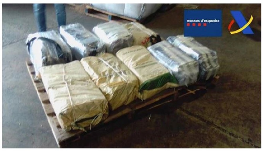 Los 250 kilos de cocaína incautados en España procedente de República Dominicana.