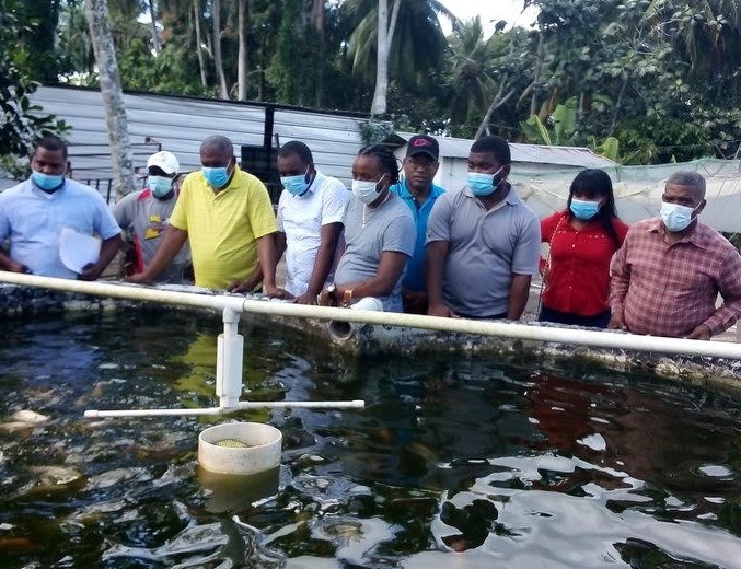 Fundación llama desarrollar acuicultura en RD.