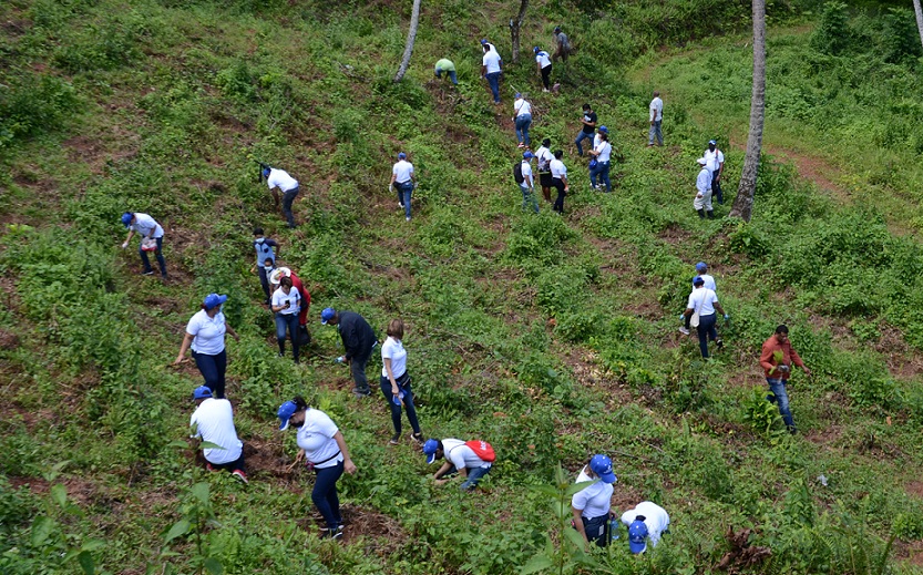 CNSS realiza jornada de reforestación en provincia Monseñor Nouel.