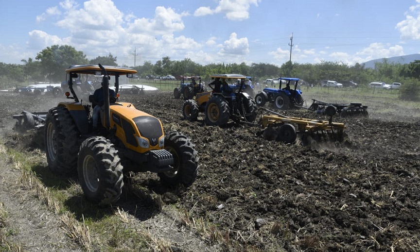 Agricultores preparan terrenos para siembra de habichuela.