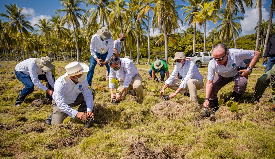 ETED reforesta zona de playa de Nigua.